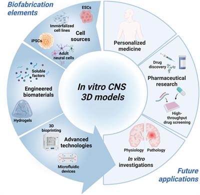 Advanced materials and biofabrication technologies to design in vitro functional central nervous system models